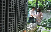 "Giật mình" với giá nhà