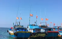 Cà Mau hoàn thành lắp đặt thiết bị giám sát hành trình cho tàu cá