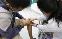 Cẩn trọng với kiến ba khoang khi mùa mưa đến