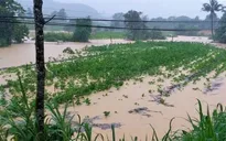 Lâm Đồng ngập nặng do mưa lớn