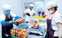 Doanh nghiệp kỳ vọng phục hồi từ gói hỗ trợ lãi suất 2%