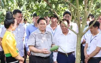 Thủ tướng: "Đưa cây ăn quả lên sườn dốc" là thay đổi tư duy quan trọng