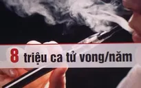Thuốc lá gây ra hơn 8 triệu ca tử vong trên toàn cầu mỗi năm
