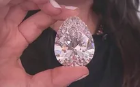 Đấu giá viên kim cương trắng nặng 228,31 carat