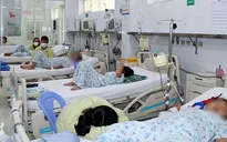 Số ca mắc sốt xuất huyết tăng 97%, Bộ Y tế cảnh báo dịch diễn biến phức tạp