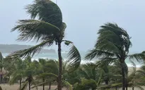 Bão Agatha suy yếu sau khi đổ bộ vào bờ biển phía Nam Mexico