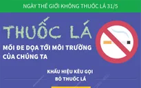 [Infographic] Ngày Thế giới không thuốc lá: Tác hại của thuốc lá đối với môi trường