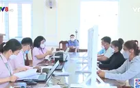 Gia Lai: Đẩy nhanh tiến độ giải ngân vốn tín dụng theo Nghị quyết 11