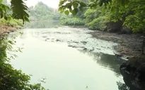 Ô nhiễm hệ thống đại thủy nông Bắc Hưng Hải