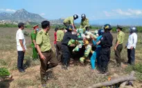 Khởi tố, bắt tạm giam nhóm lâm tặc đánh trọng thương nhân viên bảo vệ rừng ở Ninh Thuận