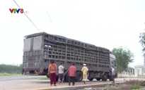 Gia Lai tăng cường kiểm soát, xử lý xe quá khổ, quá tải
