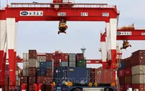Hơn 70% doanh nghiệp lớn tại Thượng Hải hoạt động trở lại