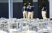 Liên minh châu Âu thu giữ lượng cocaine kỷ lục