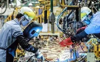 Kinh tế Việt Nam phục hồi vững chắc