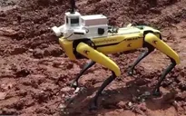 Singapore sử dụng robot thế chân người lao động