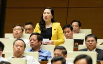 "Quân xanh, quân đỏ", "đánh võng", "quây thầu, vây thầu" trong đấu giá đất