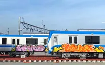 Hai toa tàu metro số 1 Bến Thành - Suối Tiên bị vẽ bậy