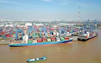 Đề xuất giảm 50% phí cảng biển ở TP Hồ Chí Minh