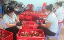 Kho trữ nông sản và chế biến sâu - Điểm nghẽn chưa có lời giải
