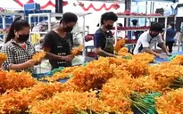 Ngành trồng hoa tại Thái Lan loay hoay tìm hướng phục hồi
