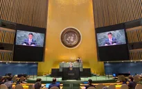 Việt Nam ủng hộ mọi nỗ lực phi hạt nhân hóa Bán đảo Triều Tiên bằng các biện pháp hòa bình