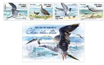 Phát hành bộ tem "Biển, đảo Việt Nam: Chim biển, đảo"