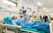 Bị ong đốt khi đang làm vườn, người đàn ông sốc phản vệ nặng