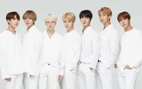 BTS hoạt động solo, vẫn không tạm dừng hoạt động nhóm