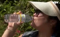 Một loạt nước châu Âu đối mặt nắng nóng bất thường, cháy rừng dữ dội tại miền Nam nước Pháp