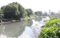 TP Hồ Chí Minh lập tổ công tác triển khai dự án cải tạo rạch Xuyên Tâm, di dời hàng ngàn nhà dân