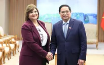 Thủ tướng tiếp Đại sứ Ai Cập và Đại sứ Mông Cổ