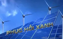 Thế giới đã bỏ lỡ cơ hội quan trọng để thúc đẩy năng lượng sạch