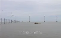 Trụ điện gió gây nguy hiểm luồng tàu