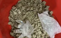Ma túy "đông trùng" xuất hiện tại TP Hồ Chí Minh
