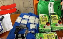 Triệt phá 11.000 vụ ma túy trong 6 tháng đầu năm