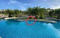 Khởi tố vụ án bé trai người Nhật tử vong tại một resort ở Mũi Né
