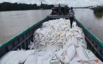 Đề xuất dán tem điện tử đường cát nhằm ngăn chặn buôn lậu