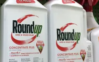 Bayer thắng vụ kiện thứ tư liên quan đến thuốc diệt cỏ Roundup ở Mỹ