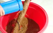 Cả huyện về đích nông thôn mới, hơn 95% người dân vẫn "khát" nước sạch