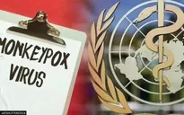 WHO: Khả năng virus đậu mùa khỉ đã âm thầm lây lan