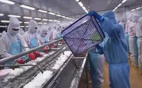 Hàng ngàn công nhân Cà Mau được hỗ trợ tiền thuê nhà trọ