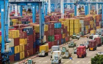 Vụ 100 container hạt điều: Bài học về cảnh giác trong giao dịch thương mại quốc tế