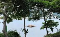 Tạm dừng du lịch lặn biển ở các khu vực dễ bị tổn hại ở vịnh Nha Trang
