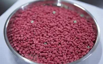 Bắt giữ 66.000 viên ma túy tổng hợp tại Quảng Trị