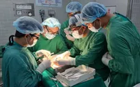 Xây dựng mạng lưới điều phối liên viện về hiến và ghép tạng