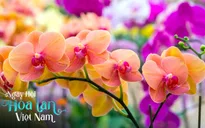 Ngày hội hoa lan Việt Nam