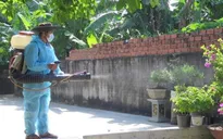 Bộ Y tế kiểm tra phòng chống sốt xuất huyết tại TP Hồ Chí Minh