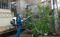 Cả nước có 77.000 người mắc sốt xuất huyết