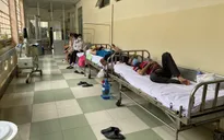 Số ca mắc sốt xuất huyết ở người lớn và phụ nữ mang thai tăng cao