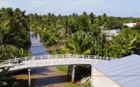 Xóa cầu khỉ cho Đồng bằng sông Cửu Long